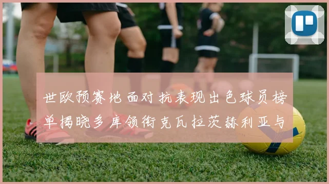 世欧预赛地面对抗表现出色球员榜单揭晓多库领衔克瓦拉茨赫利亚与布拉德利紧随其后