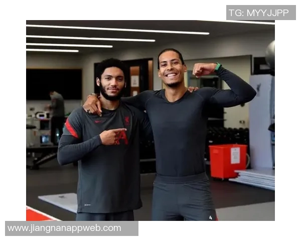 里斯威廉姆斯有望成为科纳特和乔戈麦斯的替补人选